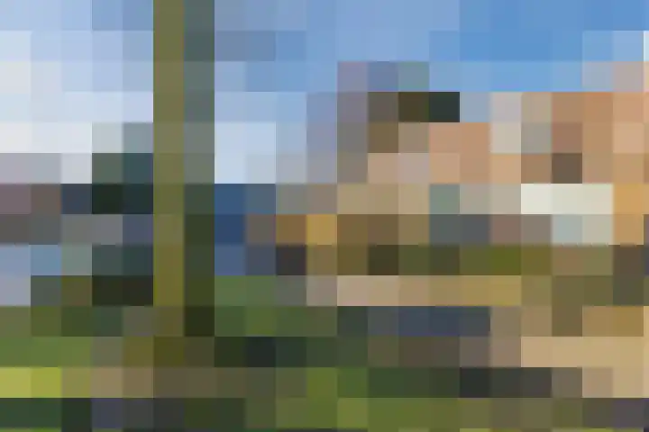 Zwanenveld 3556 Nijmegen thumbnail 6