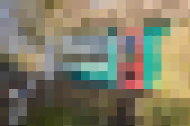 Zwanenveld 3556 Nijmegen thumbnail 7