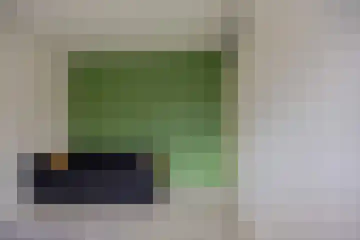 Zwanenveld 4427 Nijmegen thumbnail 15