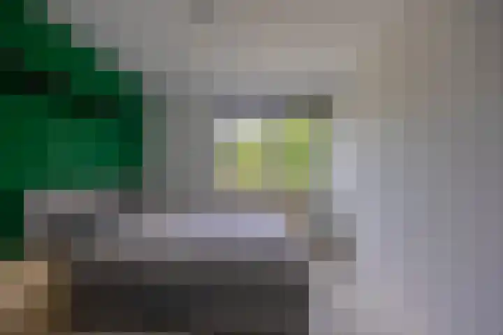 Zwanenveld 4427 Nijmegen thumbnail 16