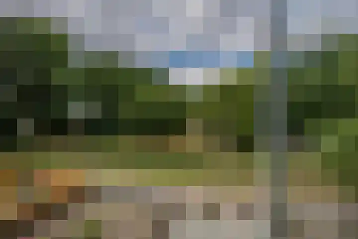 Zwanenveld 4427 Nijmegen thumbnail 18