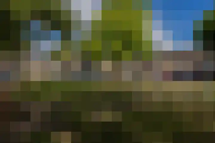 Zwanenveld 4427 Nijmegen thumbnail 33