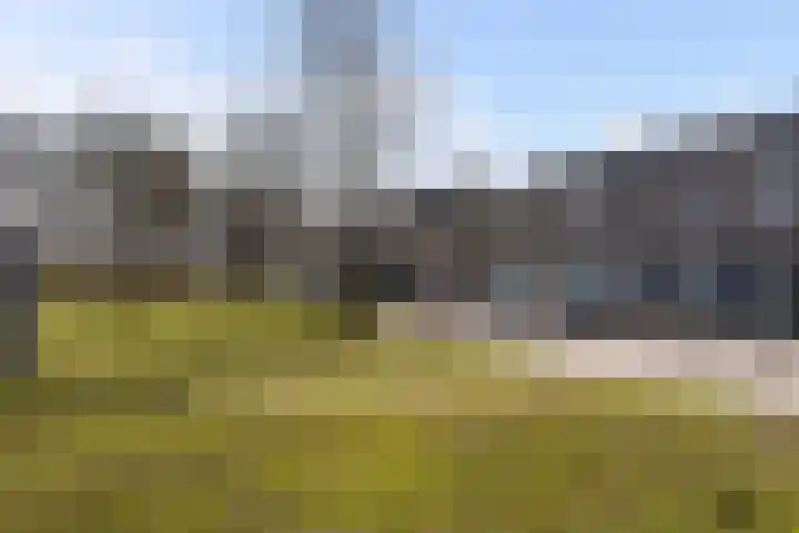 Zwanenveld 4606 Nijmegen thumbnail 28