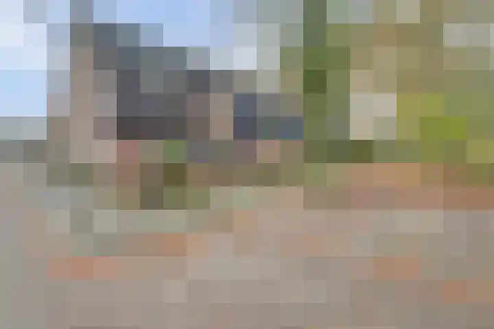 Zwanenveld 6371 Nijmegen thumbnail 32