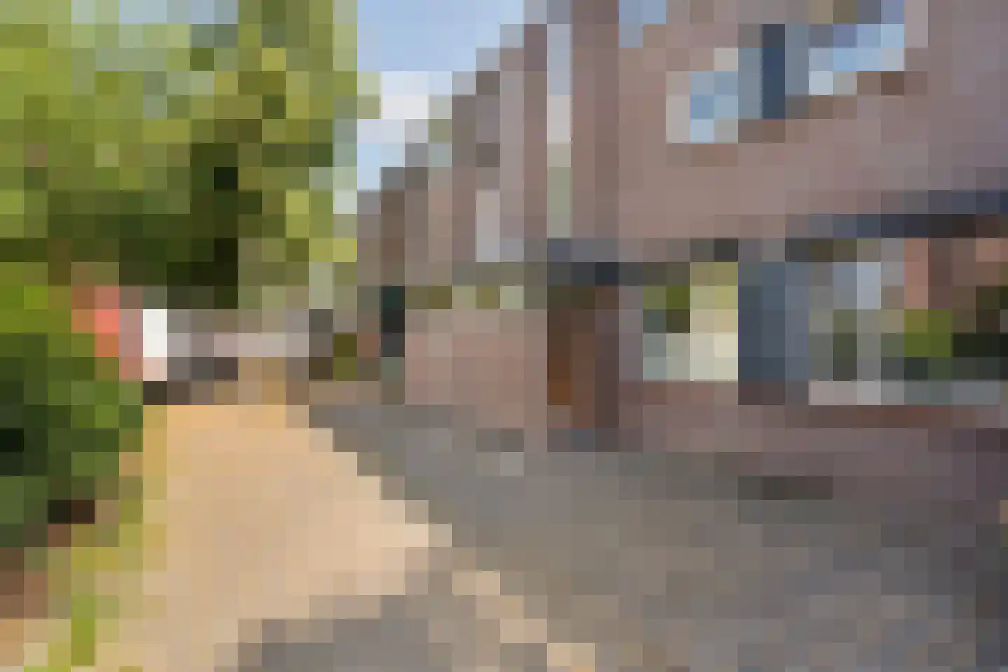 Zwanenveld 6609 Nijmegen thumbnail 39