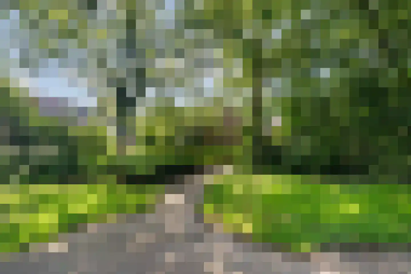 Zwanenveld 6609 Nijmegen thumbnail 42