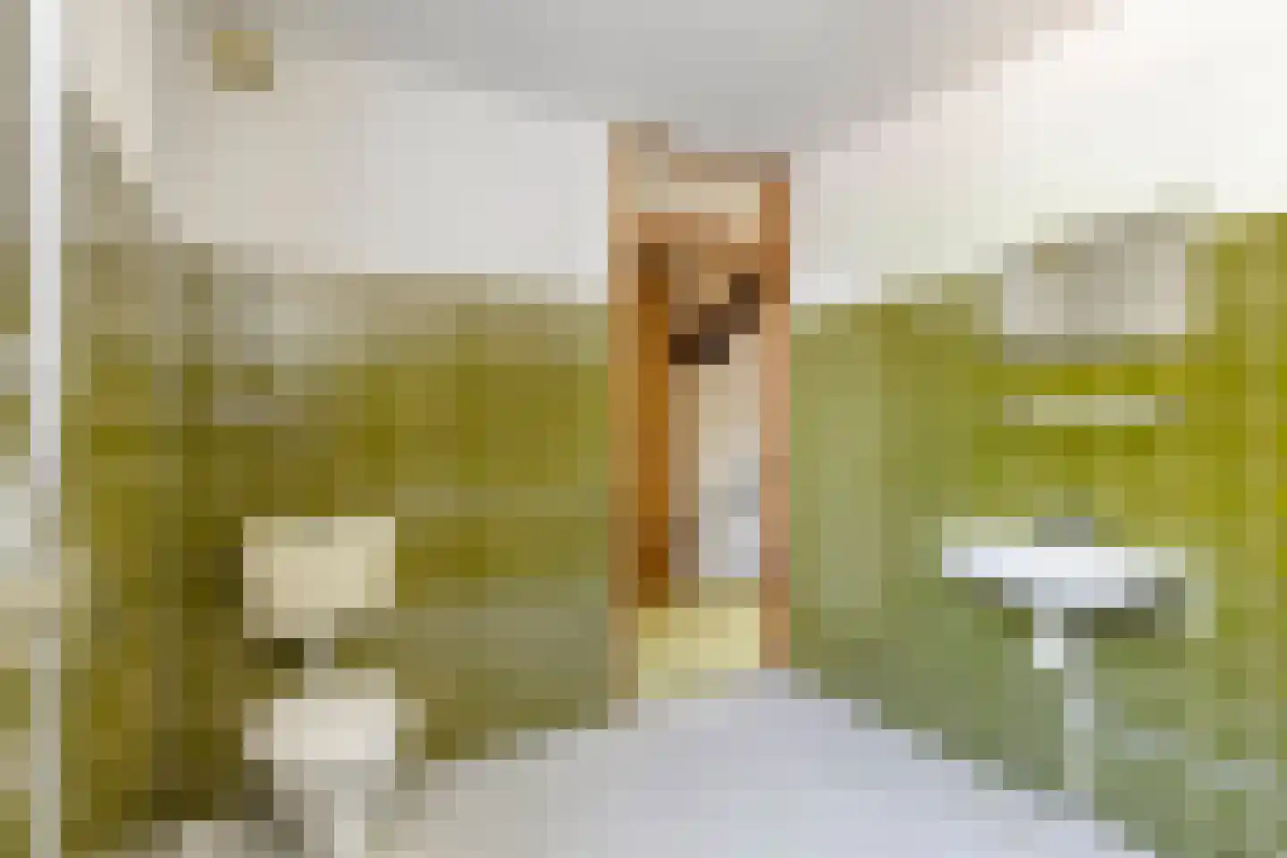 Zwanenveld 6619 Nijmegen thumbnail 22