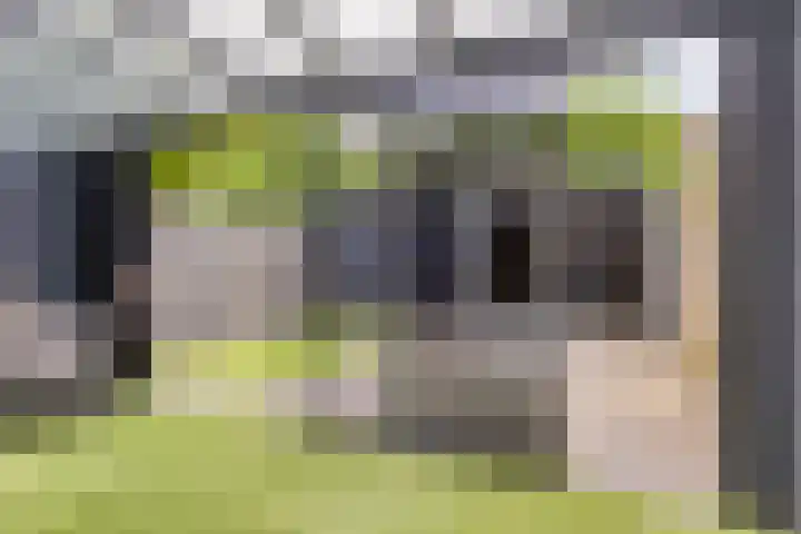 Zwanenveld 7414 Nijmegen thumbnail 34