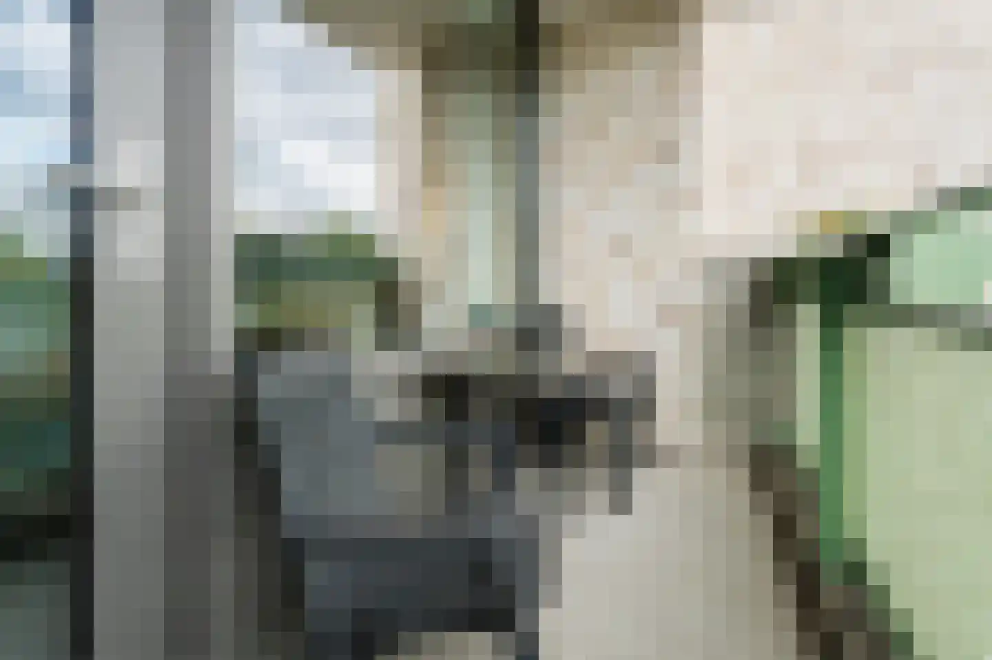 Zwanenveld 8323 Nijmegen thumbnail 11