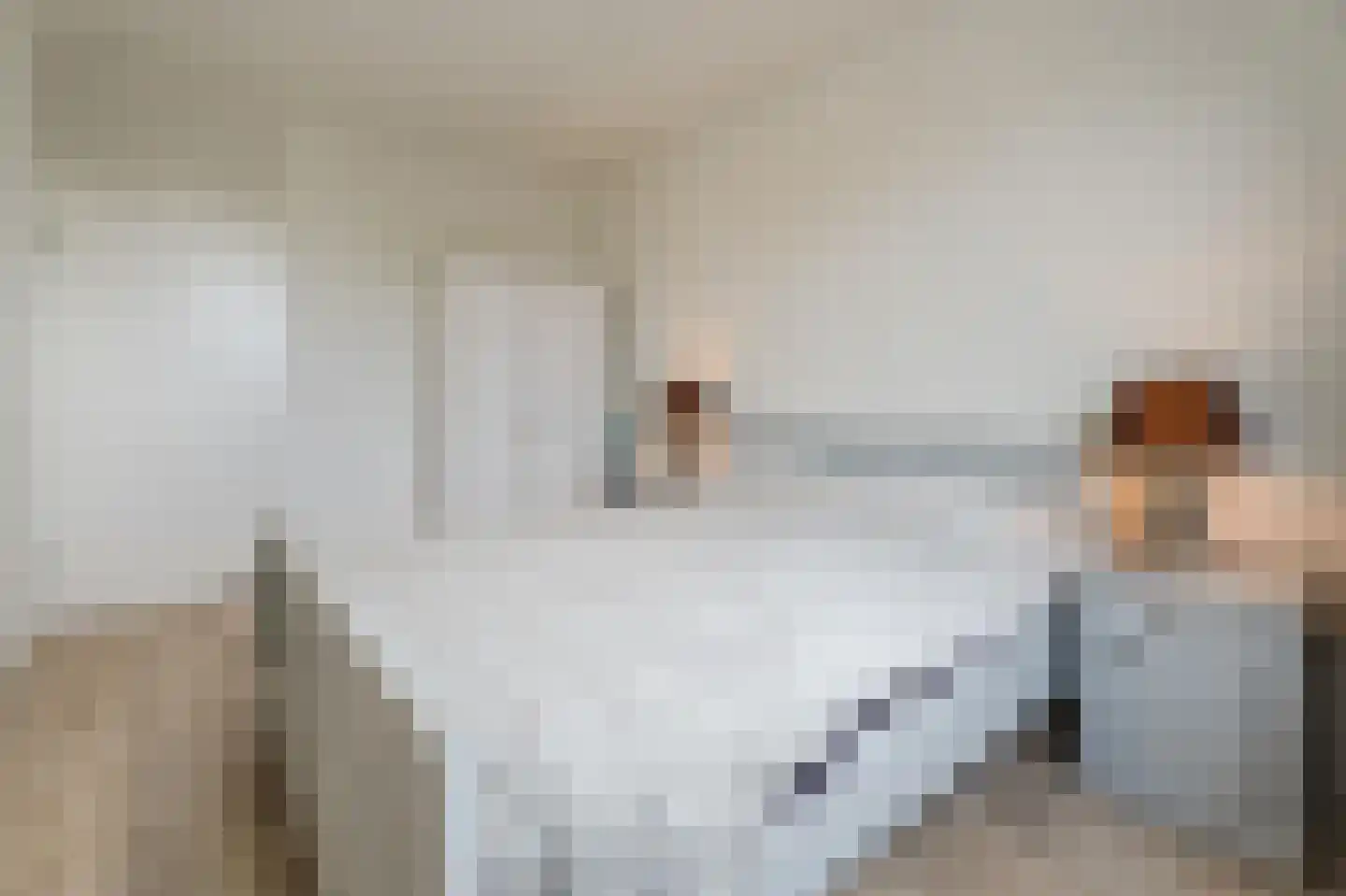 Zwanenveld 8323 Nijmegen thumbnail 24