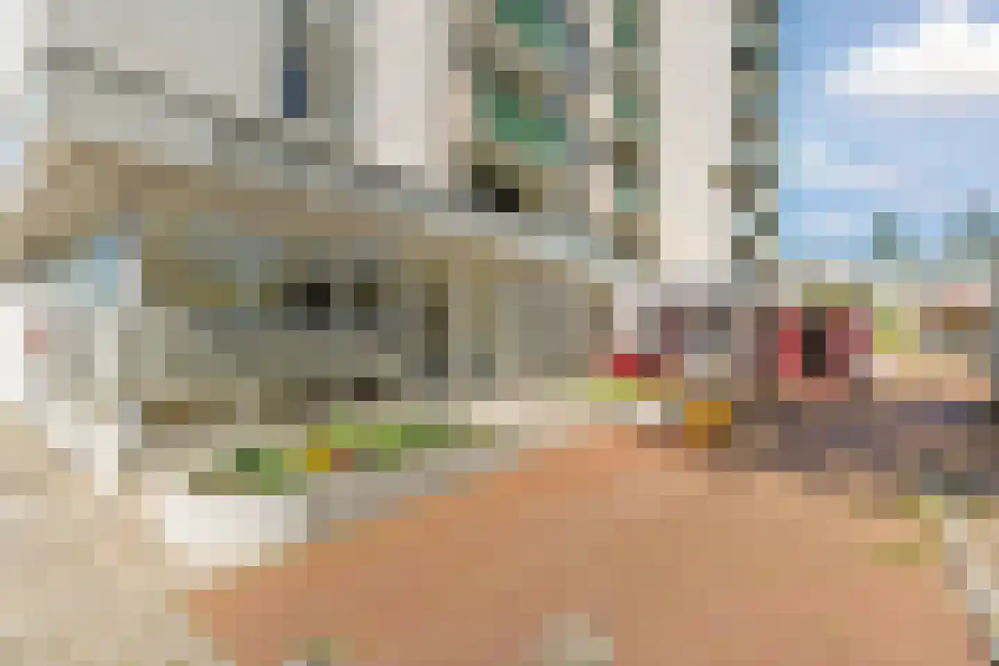 Zwanenveld 8334 Nijmegen thumbnail 27