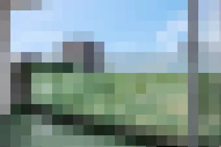 Zwanenveld 8349 Nijmegen thumbnail 20