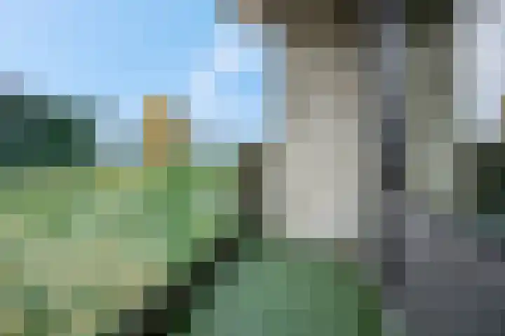 Zwanenveld 8349 Nijmegen thumbnail 21