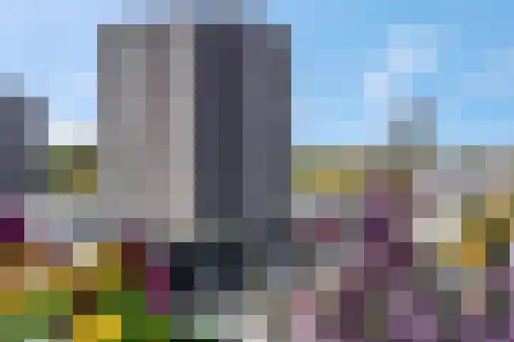 Zwanenveld 8349 Nijmegen thumbnail 22
