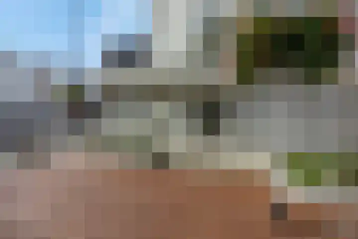 Zwanenveld 8349 Nijmegen thumbnail 34