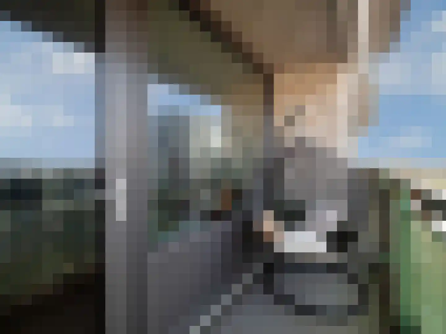 Zwanenveld 8350 Nijmegen thumbnail 14