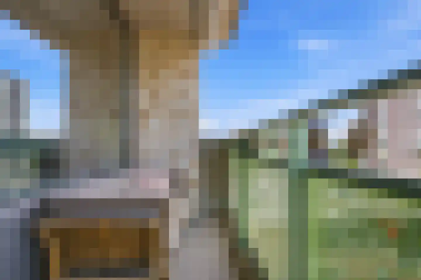 Zwanenveld 8357 Nijmegen thumbnail 20