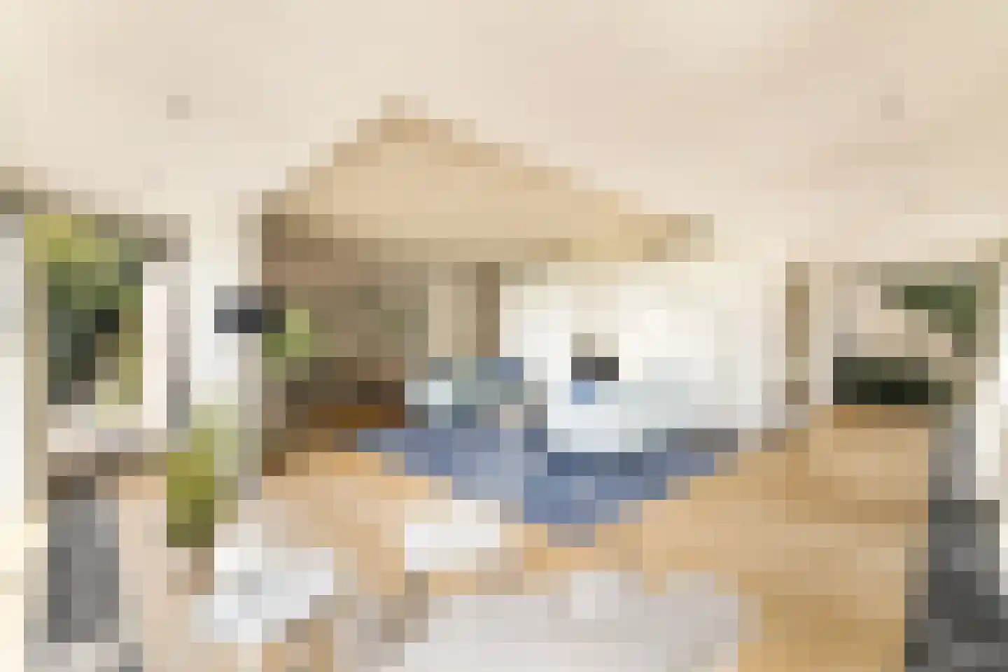Zwanenvliet 4 Streefkerk thumbnail 11