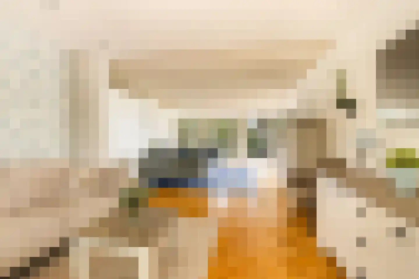 Zwanenvliet 4 Streefkerk thumbnail 12