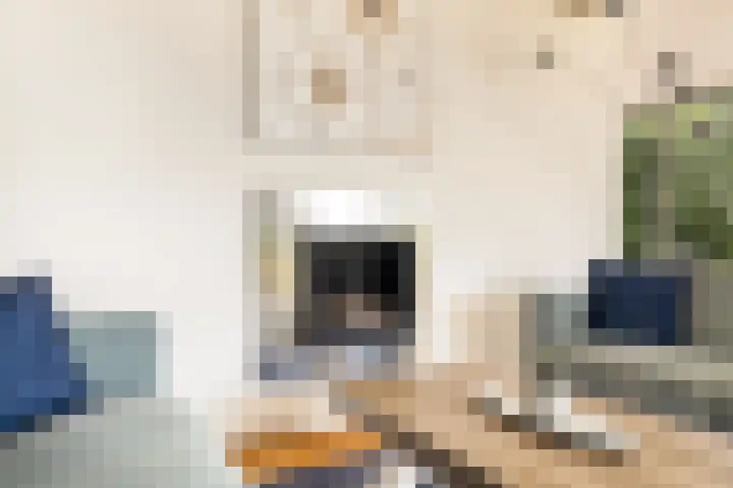 Zwanenvliet 4 Streefkerk thumbnail 15