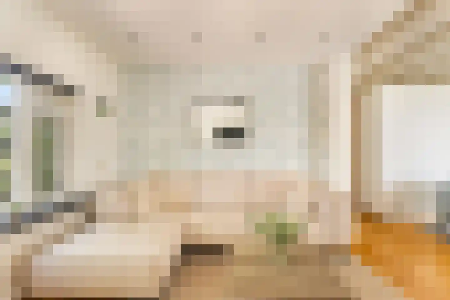 Zwanenvliet 4 Streefkerk thumbnail 19