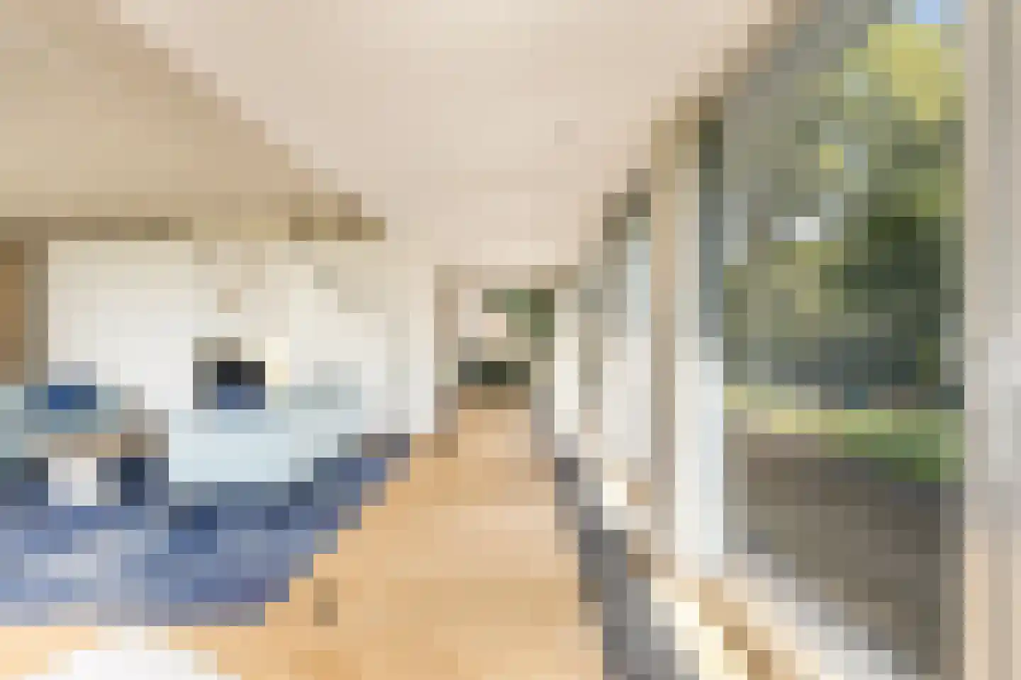 Zwanenvliet 4 Streefkerk thumbnail 20
