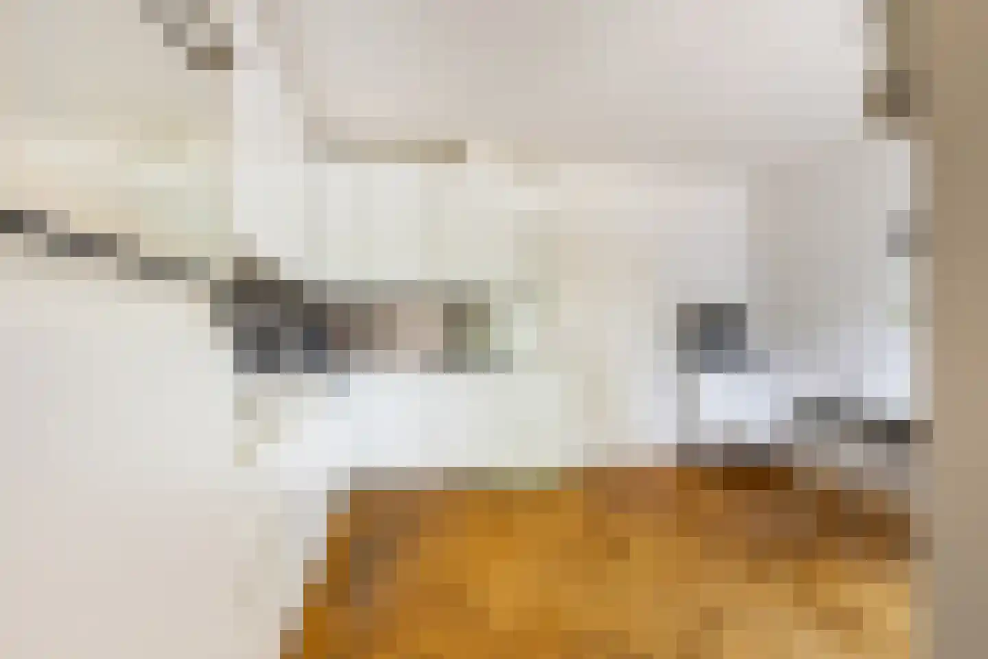 Zwanenvliet 4 Streefkerk thumbnail 31