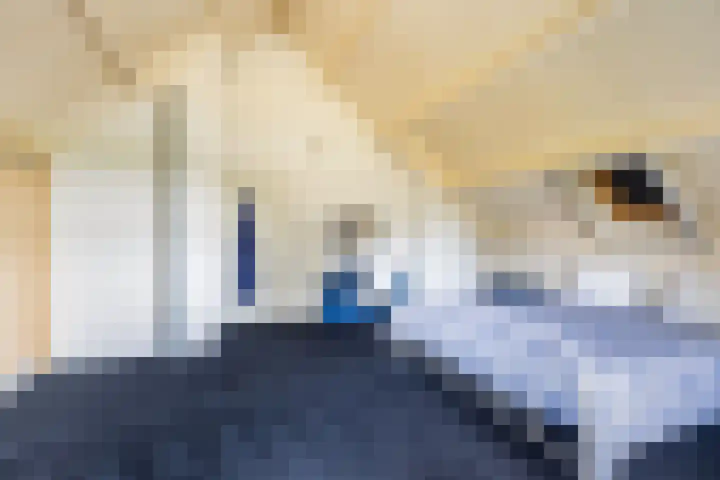 Zwanenvliet 4 Streefkerk thumbnail 46