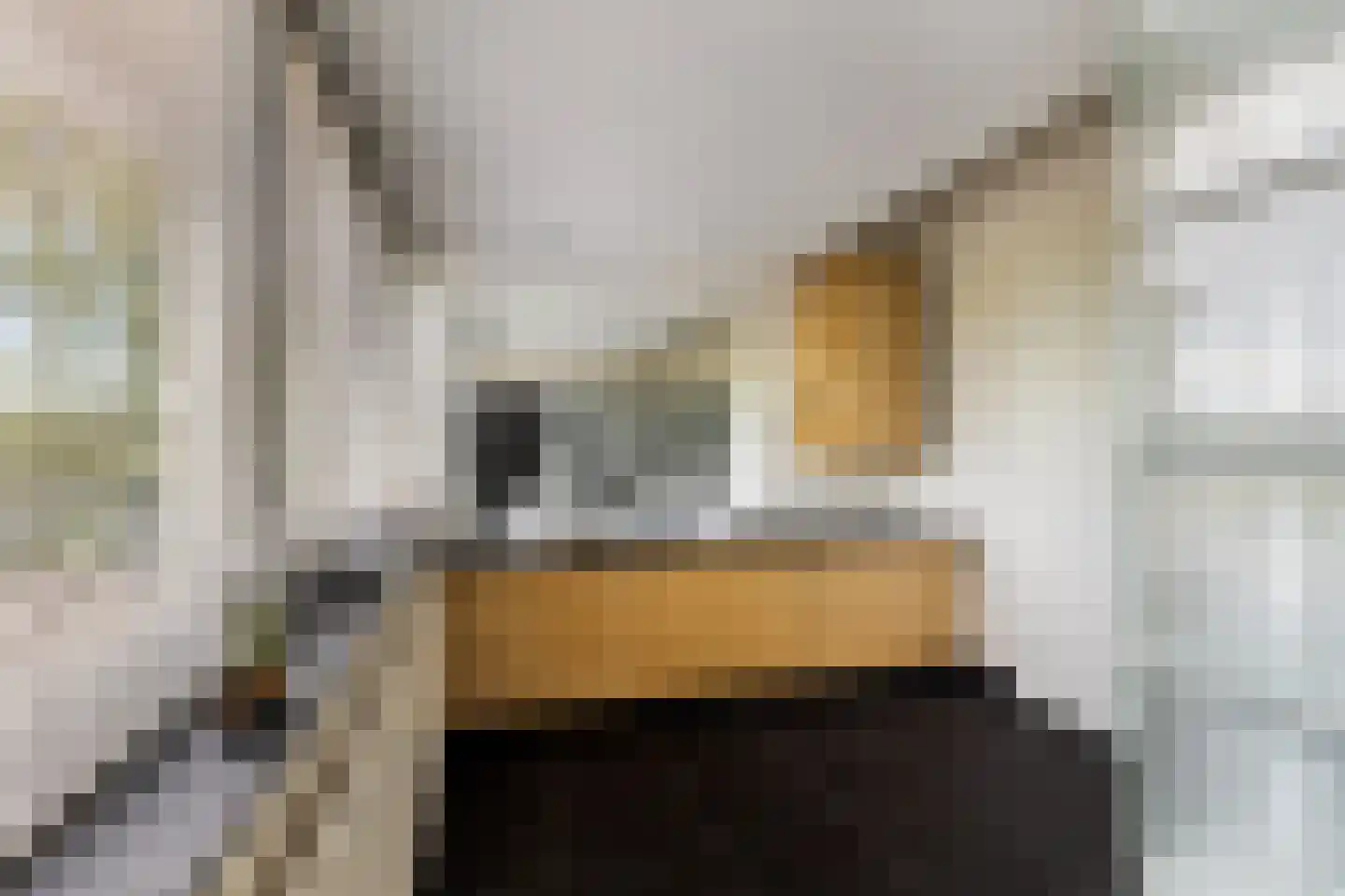 Zwanenvliet 4 Streefkerk thumbnail 51