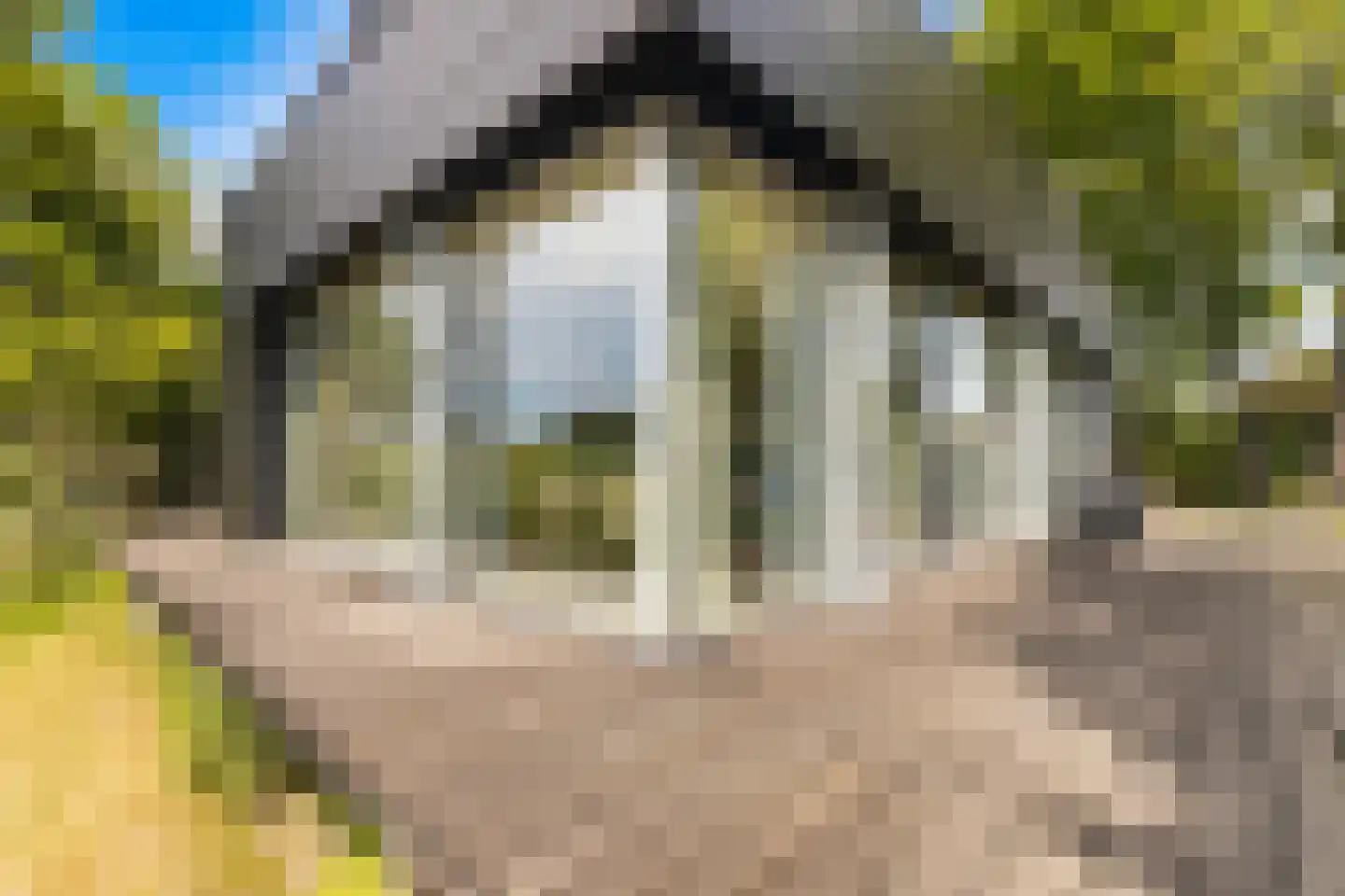 Zwanenvliet 4 Streefkerk thumbnail 59