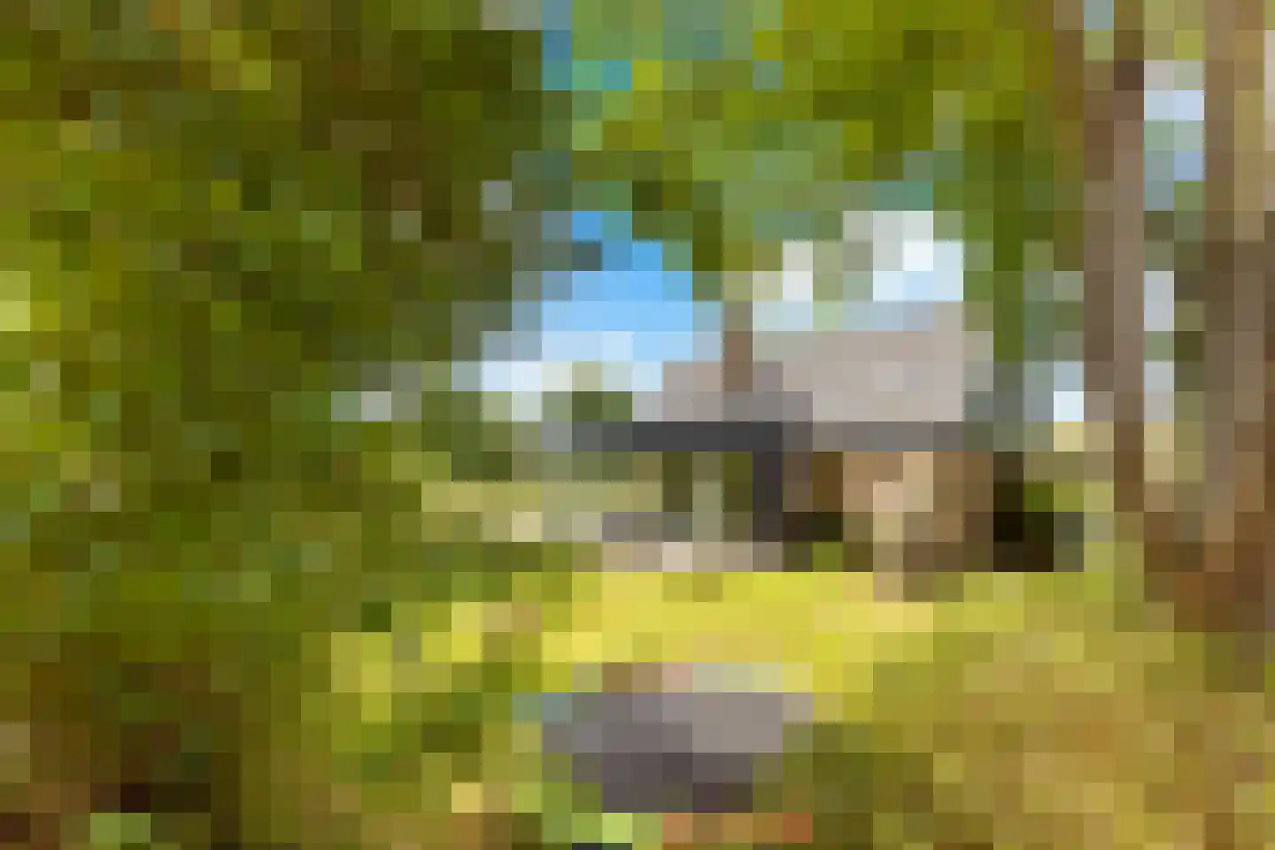 Zwanenvliet 4 Streefkerk thumbnail 62