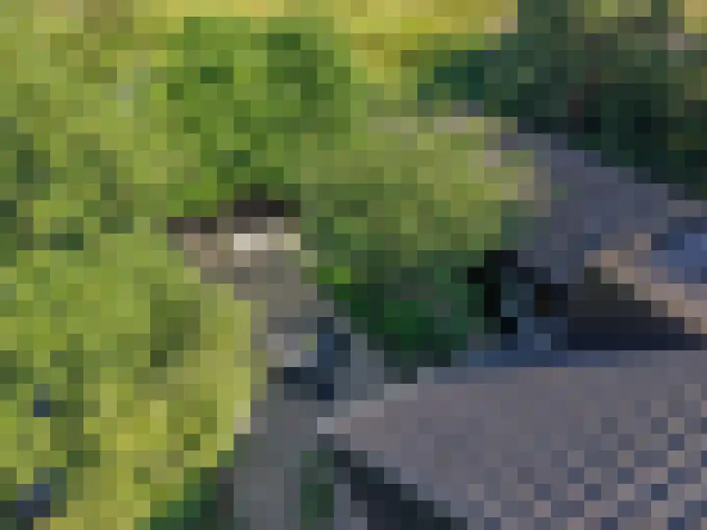 Zwanenvliet 4 Streefkerk thumbnail 65