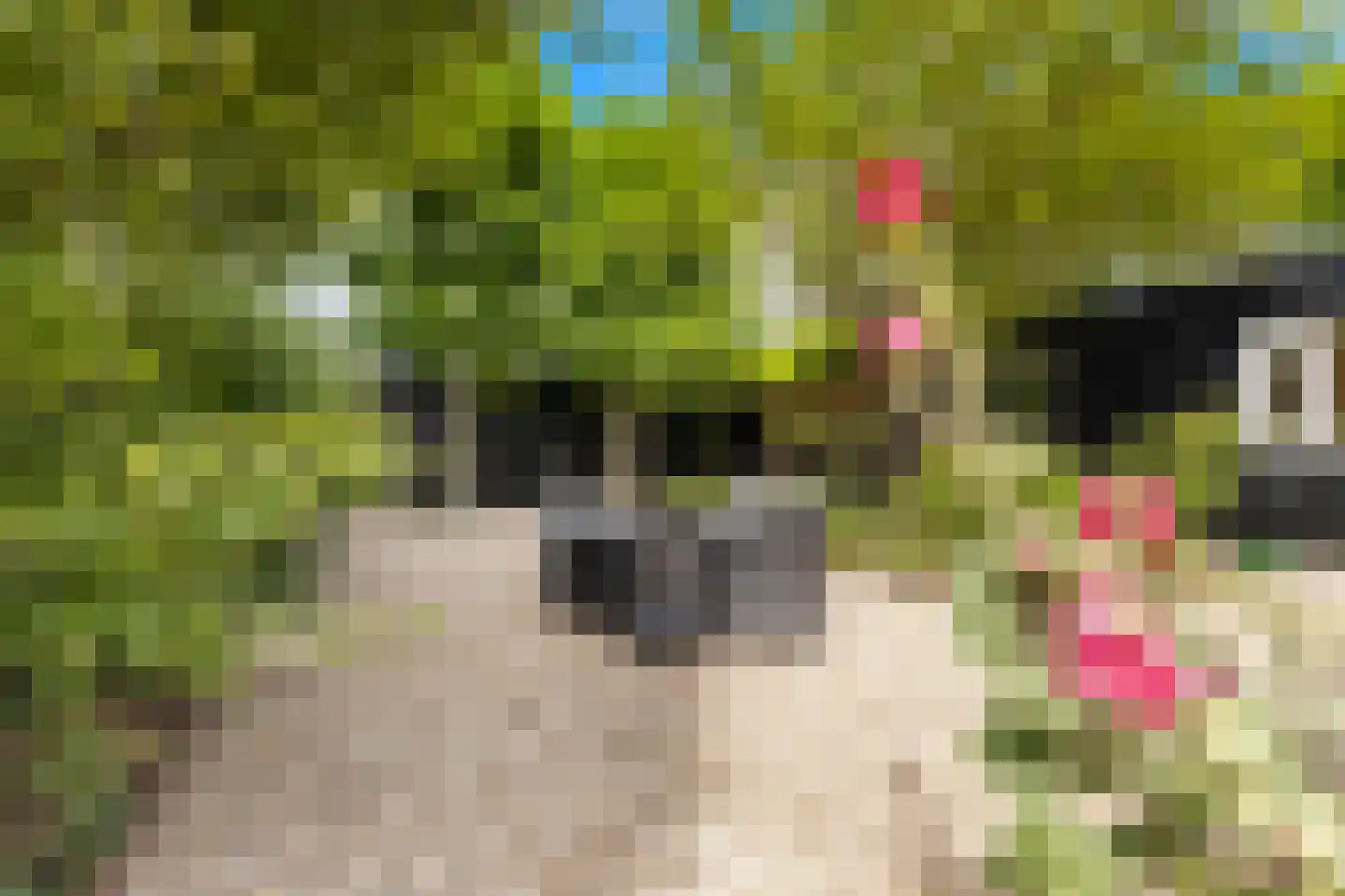 Zwanenvliet 4 Streefkerk thumbnail 66