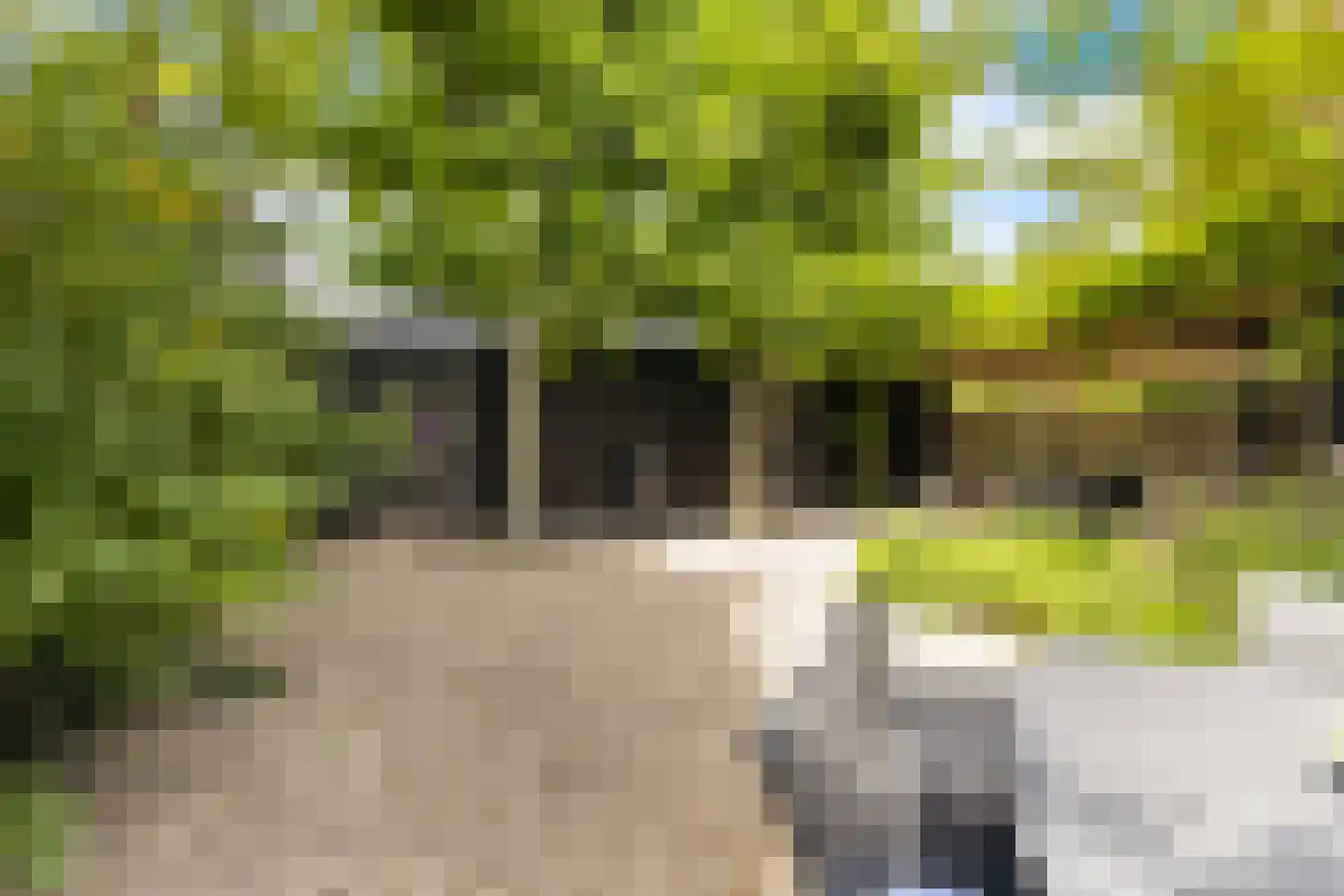 Zwanenvliet 4 Streefkerk thumbnail 67