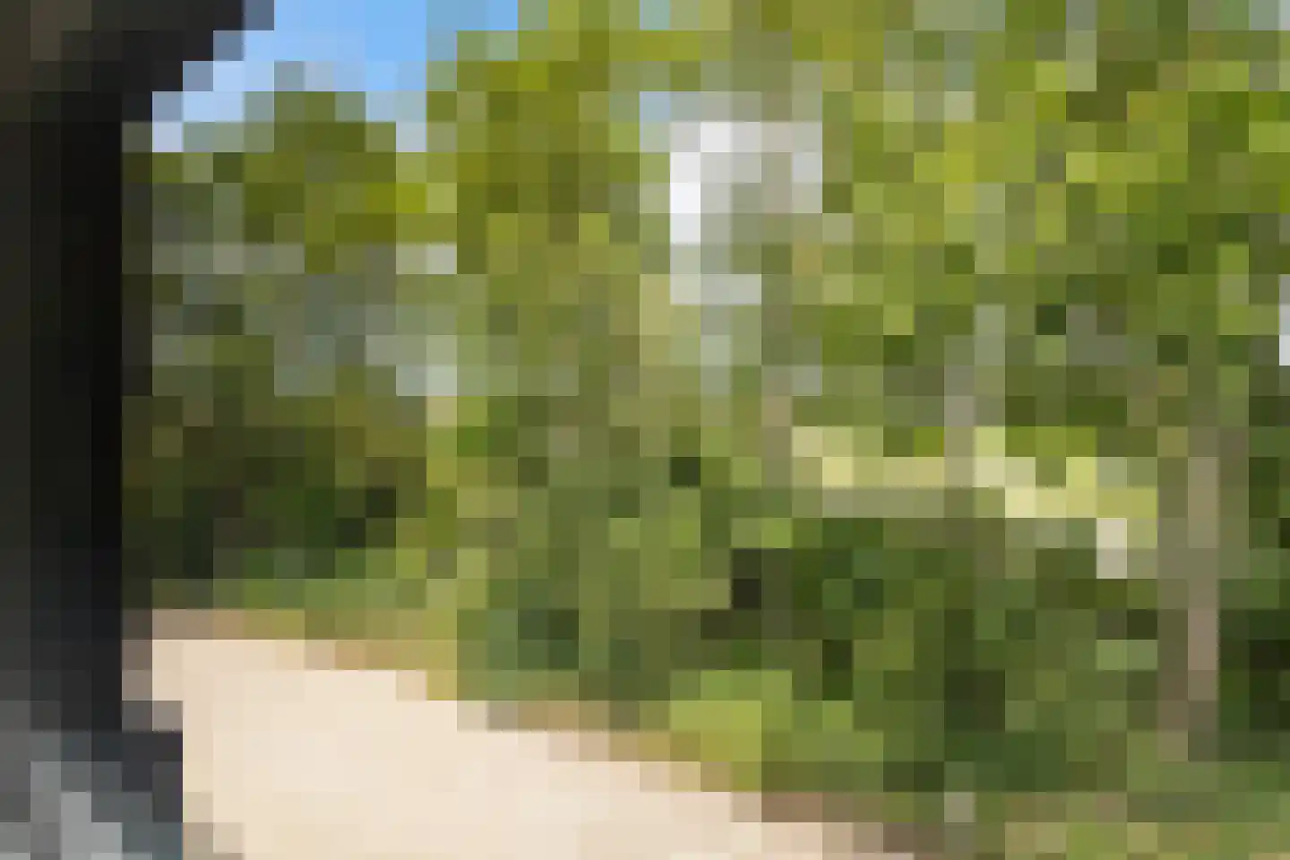 Zwanenvliet 4 Streefkerk thumbnail 71