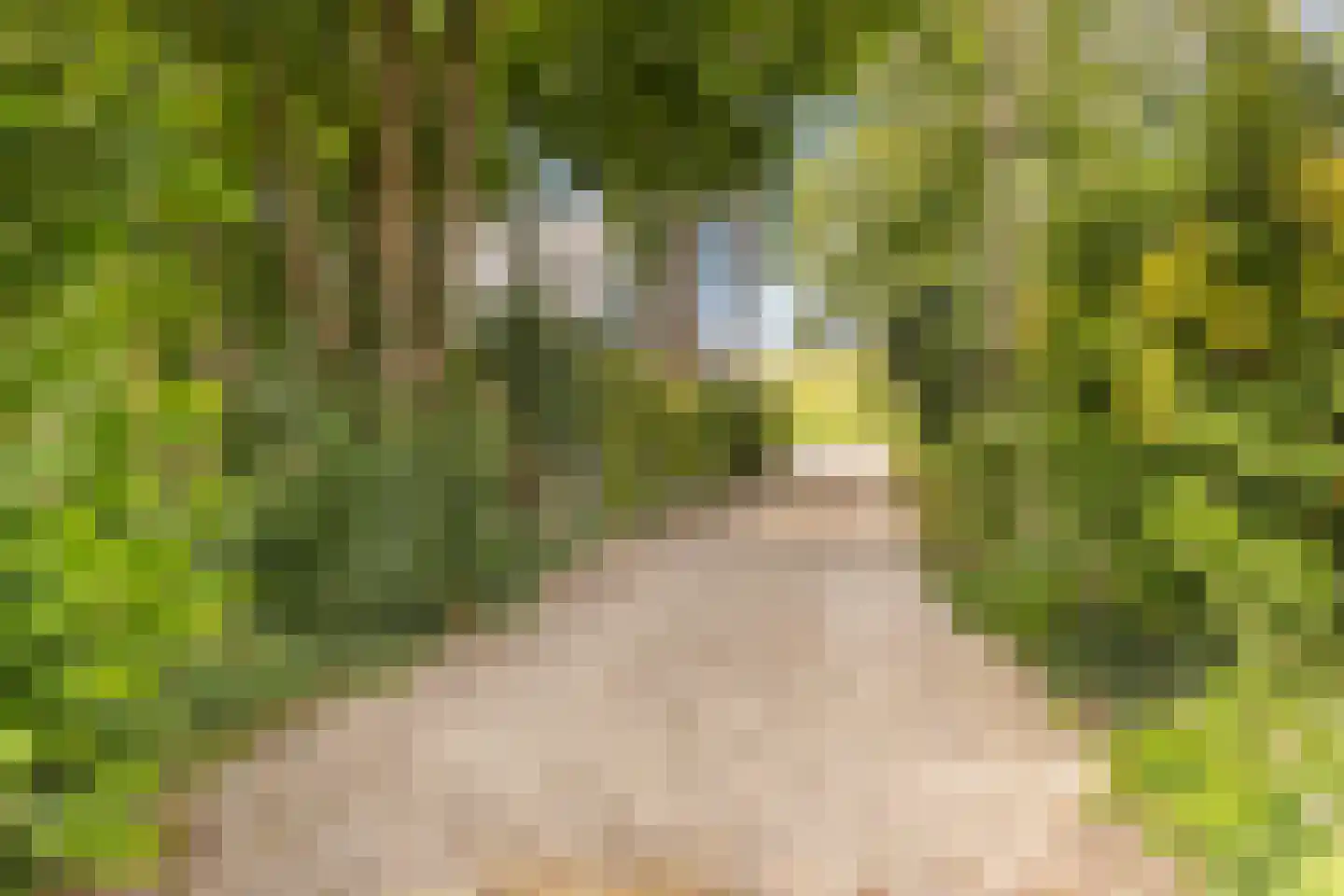 Zwanenvliet 4 Streefkerk thumbnail 79