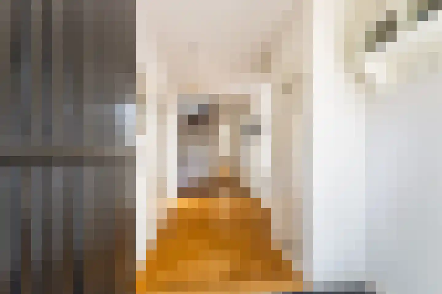 Zwanenvliet 4 Streefkerk thumbnail 8