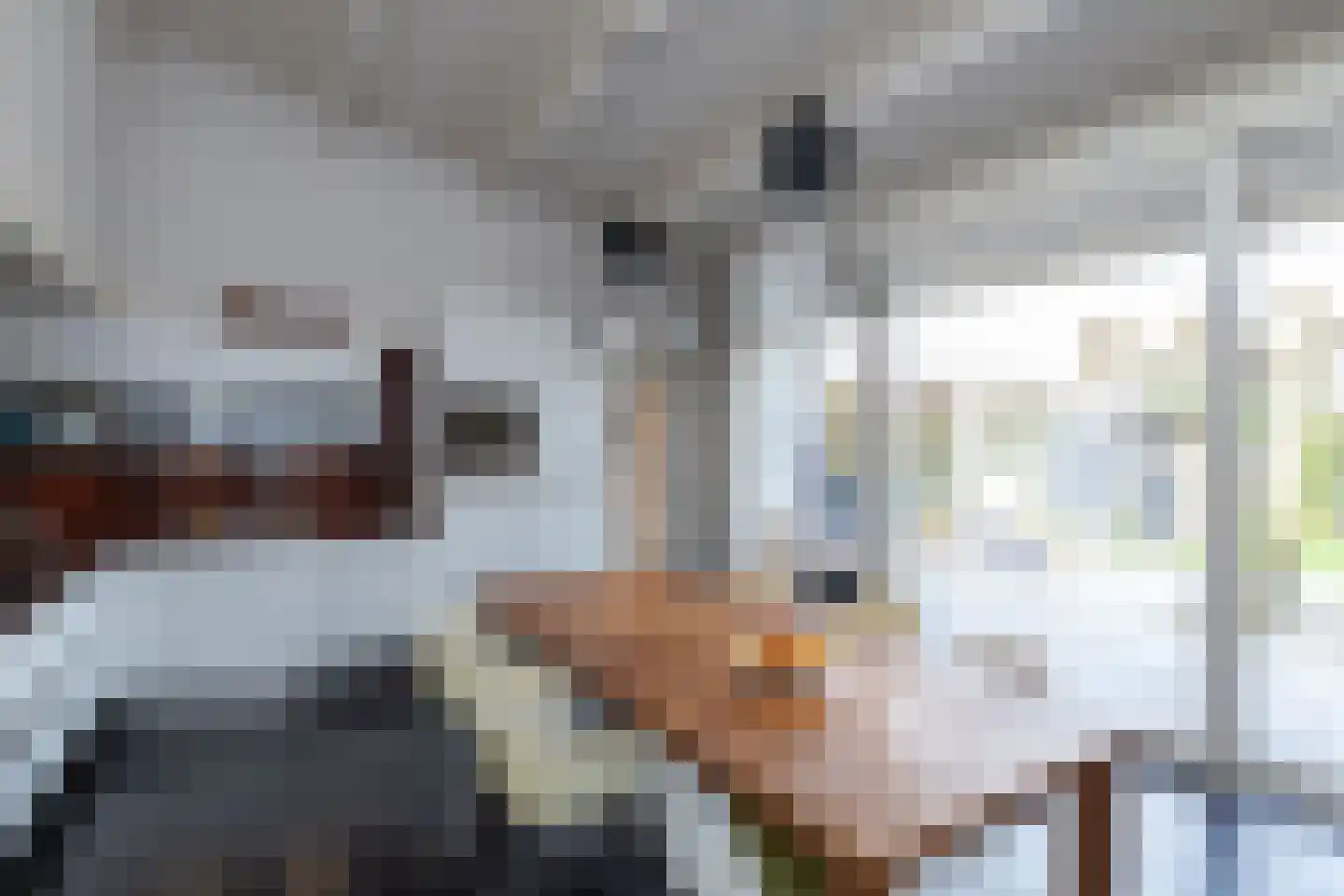 Zwanenvliet 5 Streefkerk thumbnail 13