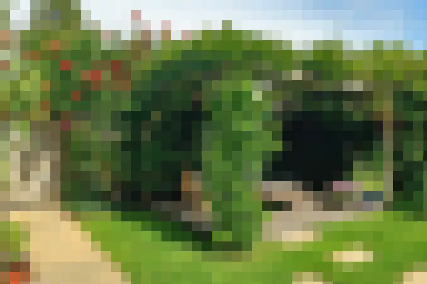 Zwanenvliet 5 Streefkerk thumbnail 35