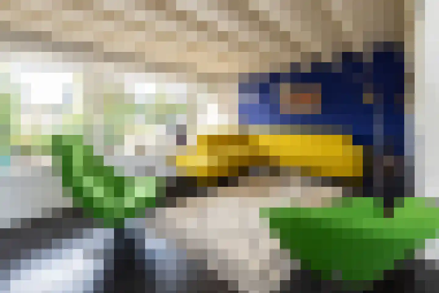 Zwanenvliet 5 Streefkerk thumbnail 6