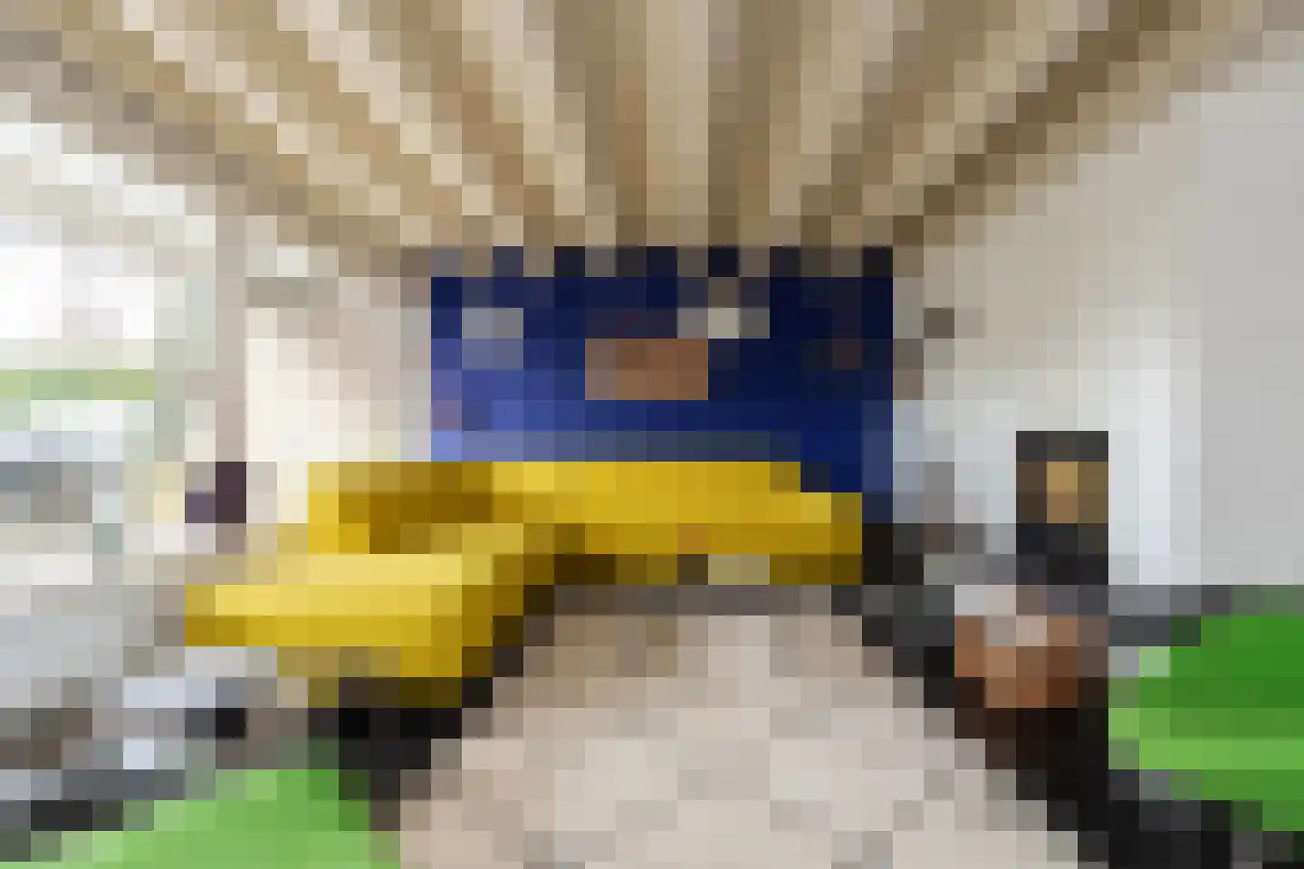 Zwanenvliet 5 Streefkerk thumbnail 7