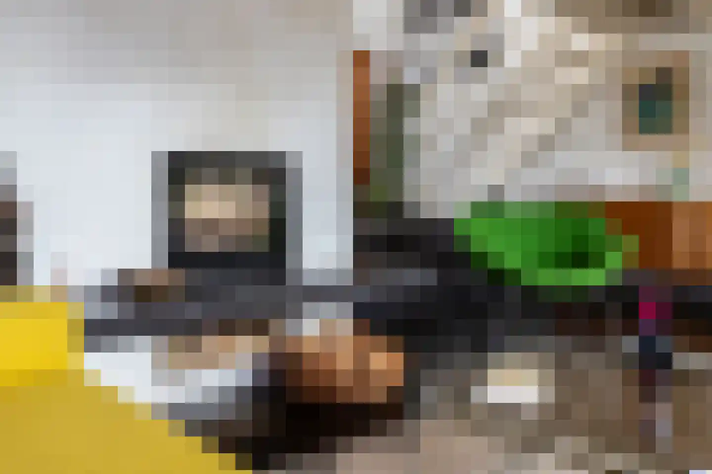 Zwanenvliet 5 Streefkerk thumbnail 8
