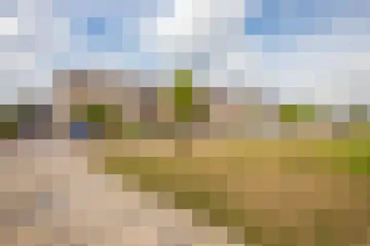 Zwanenwaay 36 Babberich thumbnail 10