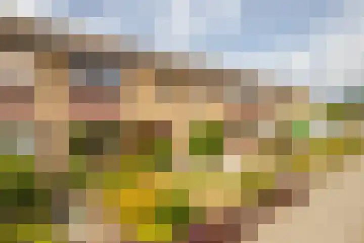 Zwanenwaay 36 Babberich thumbnail 11