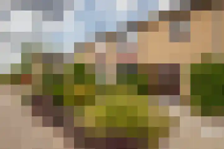 Zwanenwaay 36 Babberich thumbnail 13