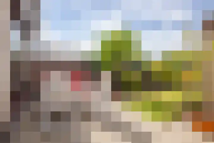 Zwanenwaay 36 Babberich thumbnail 33