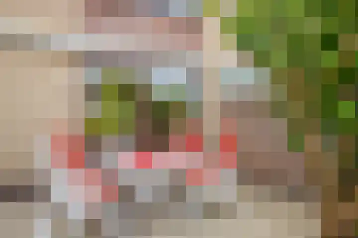 Zwanenwaay 36 Babberich thumbnail 34