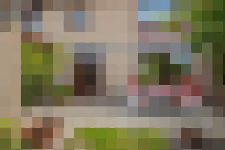Zwanenwaay 36 Babberich thumbnail 35
