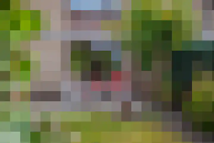 Zwanenwaay 36 Babberich thumbnail 36