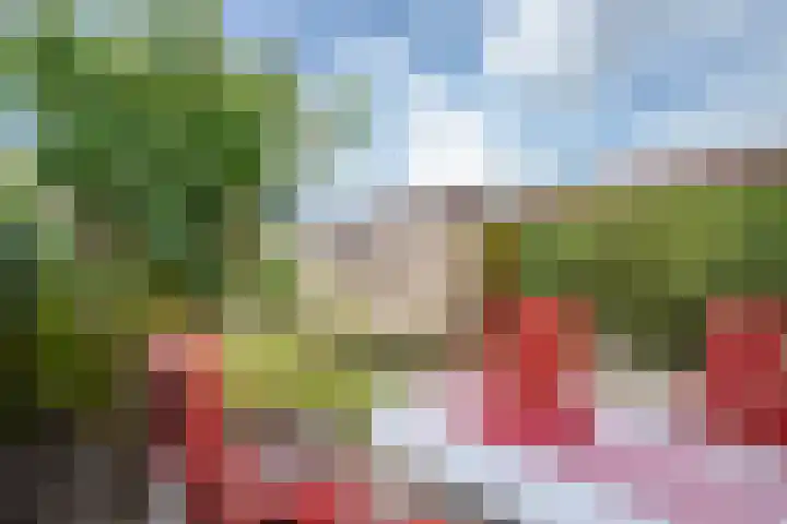 Zwanenwaay 36 Babberich thumbnail 37